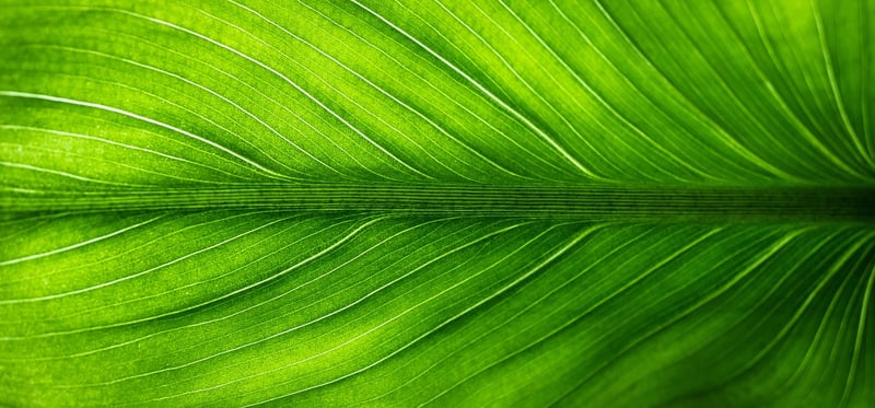 Eco-friendly Tokens