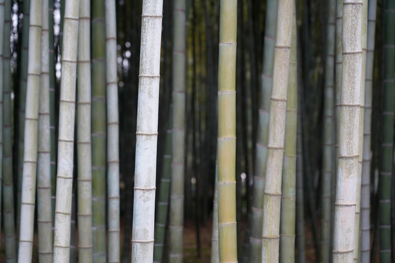 Bamboo Kitchen Utensils